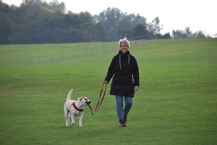 Woman walking a small dog across a field