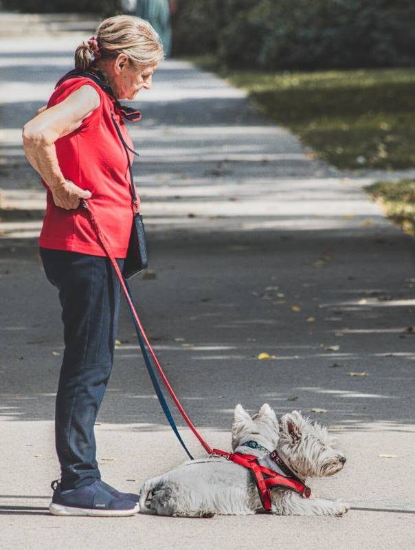 Woman walking a small white terrier on a leash
