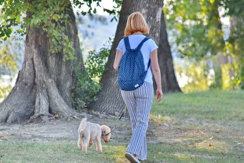 Woman walking a small dog in the woods